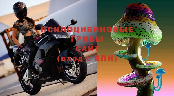 ALPHA PVP Баксан