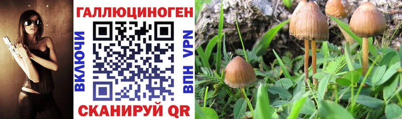 Галлюциногенные грибы MAGIC MUSHROOMS  мориарти формула  Малгобек 